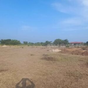 472300046_1311371533209711_6004796979794665412_n