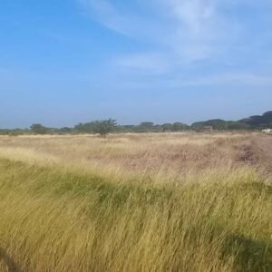 472508365_1311371546543043_7879842295103586377_n