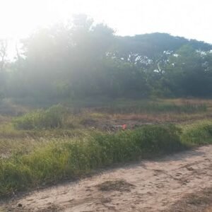 472552325_1311371266543071_2338066719063247240_n