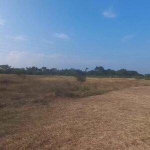 472557113_1311371556543042_7524387670326116271_n