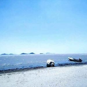 472700835_1313280669685464_7053421927011259898_n