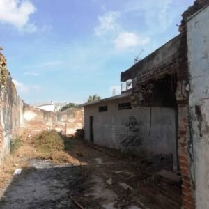 472785732_1313611259652405_140442485068359338_n