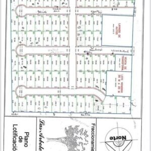 472786791_1312694419744089_2933256983254715887_n