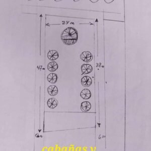 472824193_1313280753018789_5248290790181749009_n