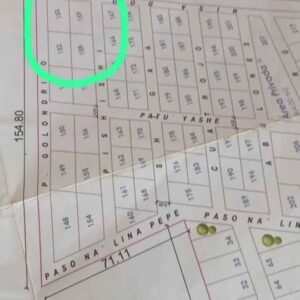 472848288_1313280719685459_253473059978595354_n