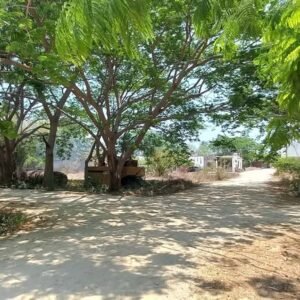 473759687_1321298795550318_6038873880707217922_n