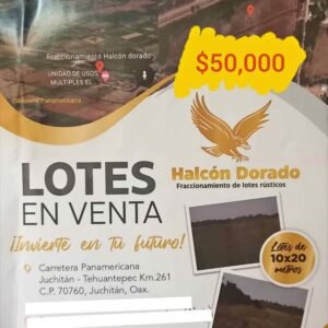 473801861_1321293685550829_2587136835482656535_n