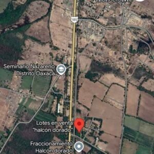 473806364_1321293722217492_4563678622785271836_n