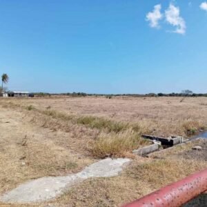 475807933_1330535194626678_3726395796779094367_n