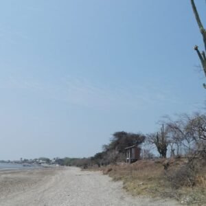 WhatsApp Image 2025-04-04 at 12.15.38 PM