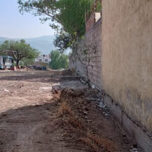 WhatsApp Image 2025-04-04 at 12.15.39 PM (3)