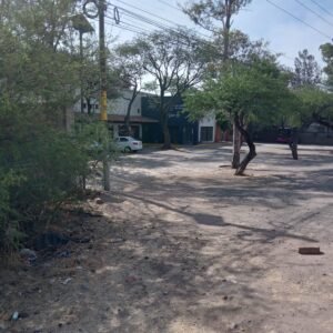 WhatsApp Image 2025-04-04 at 12.15.39 PM (4)