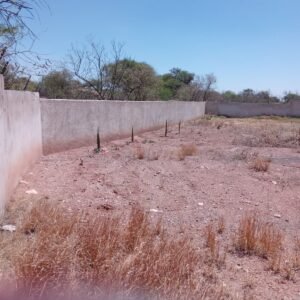 WhatsApp Image 2025-04-04 at 12.15.40 PM (3)