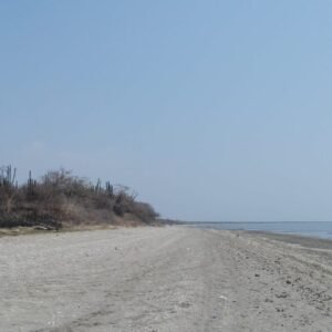 WhatsApp Image 2025-04-04 at 12.15.40 PM