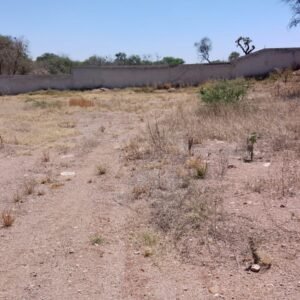 WhatsApp Image 2025-04-04 at 12.15.40 PM (5)