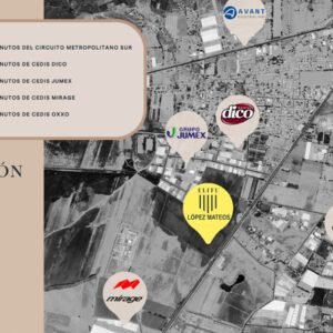 WhatsApp Image 2025-05-01 at 1.35.31 AM (1)